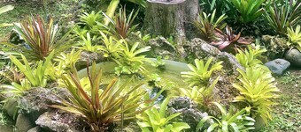 Beach villa w/fiber optic internet- Steps to beach with garden full of wildlife!