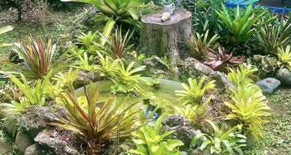Beach villa w/fiber optic internet- Steps to beach with garden full of wildlife!
