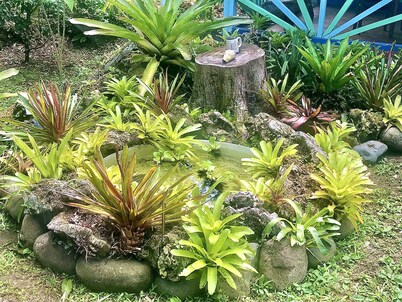 Villa de playa - ¡Pasos a la playa con jardín lleno de vida salvaje!