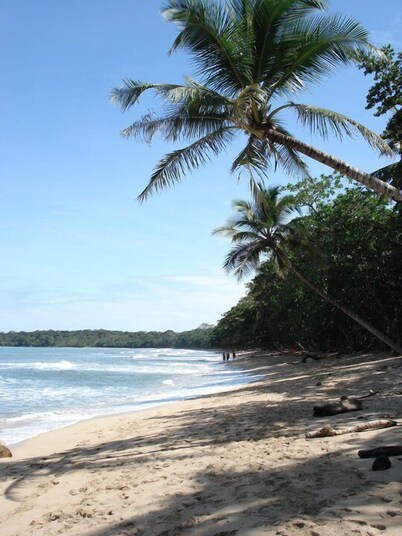 Beach villa w/fiber optic internet- Steps to beach with garden full of wildlife!