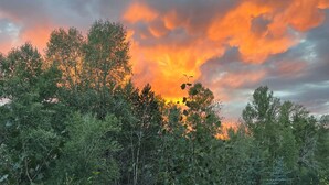 A view from a balcony overlooking a forested area with a wooden railing and a window with a view of trees and a sunset.