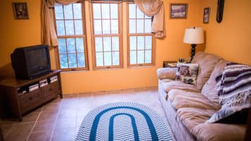 TV, fireplace, DVD player, books