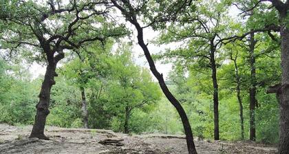 Allure charming peaceful wooded Hill Country like views with easy Lake access