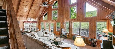 Smart TV, fireplace, video games, DVD player