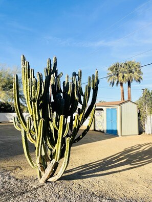 Property grounds - Private Oasis over half an acre with private Pool & Spa. City ID 4059 (Palm Springs)