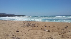 在海灘附近、沙灘巾