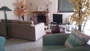 TV, fireplace, books