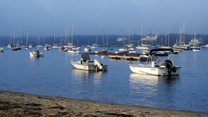 A marina with various boats docked.