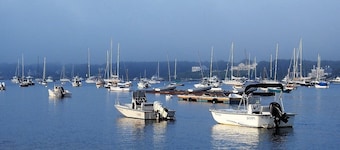Chappaquiddick, Cozy 2 Bedroom, October Dates Available!