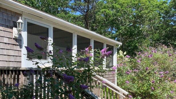 A house with a wooden porch, a stone pathway, and a variety of flowering plants.