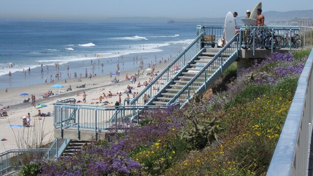 A beach with a staircase leading down to the shore, surrounded by purple flowers.