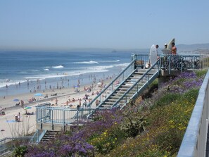 A beach with a staircase leading down to the shore, surrounded by purple flowers.