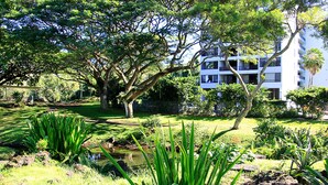 Un exuberante jardín con un estanque, árboles grandes y un edificio blanco con balcones al fondo.