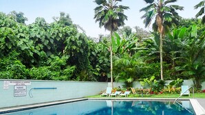 Una piscina con sillas de descanso y palmeras al fondo.