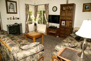 Smart TV, fireplace, video games, Netflix