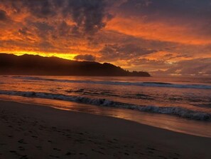 Beach nearby, sun loungers, beach towels - Charming and Immaculate - Walkable to Beach and Town - Sleeps 10 (Hanalei)