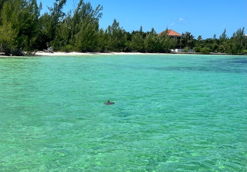 lo key villa 2 apartments, 1 building overlooking Coco Bay, sleeps 8