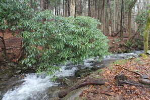 Un arroyo en el bosque con rocas y un árbol caído.