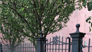 Una cerca negra de hierro forjado con pilares decorativos, un camino de ladrillo y un jardín con flores y un árbol.