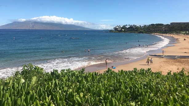 Une plage aux eaux d’un bleu limpide, bordée d’un rivage sablonneux, avec une végétation luxuriante au premier plan.