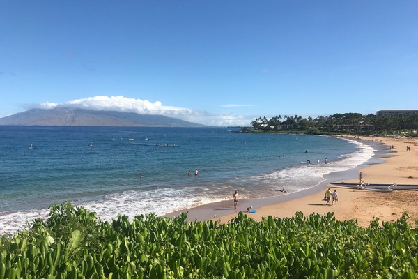 Camastros y toallas de playa