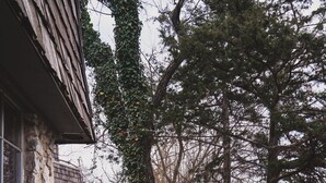 Une terrasse en bois qui mène à un bâtiment en pierre, avec un banc et une clôture.