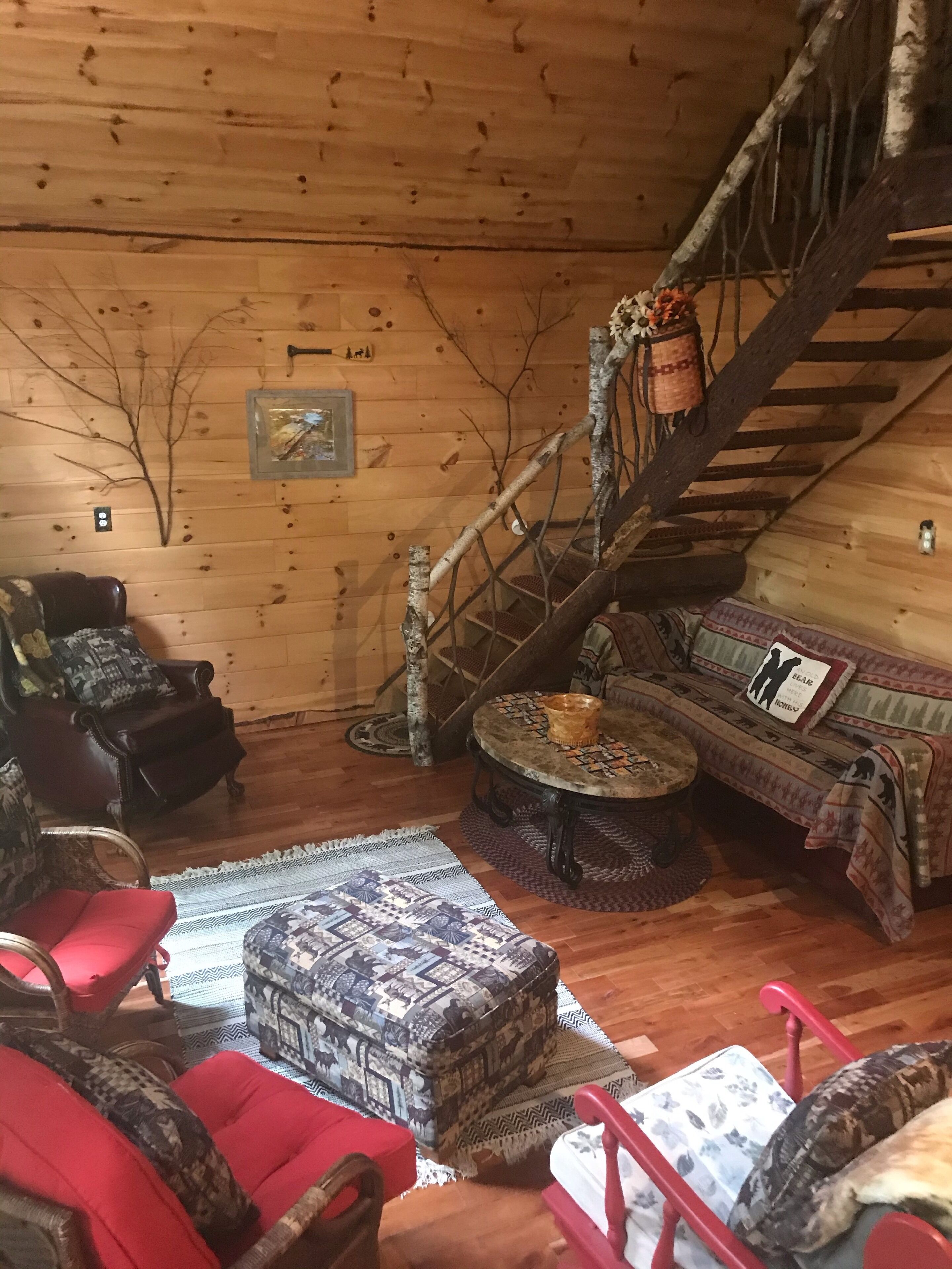 Televisor intel·ligent, llar de foc, reproductor de DVD i llibres 