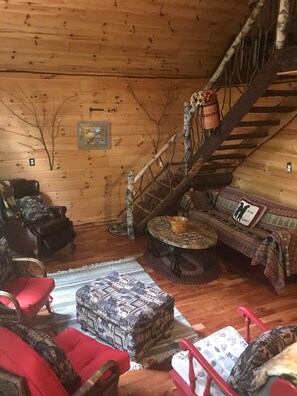 Una Smart TV, una chimenea, un reproductor de DVD, libros