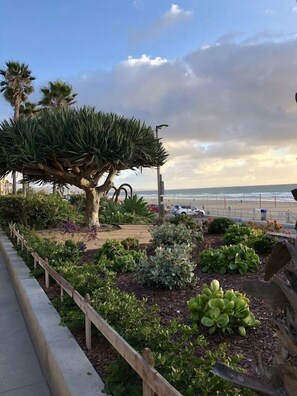 Terrain de l’hébergement 