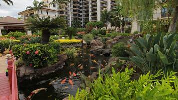 Terrain de l’hébergement