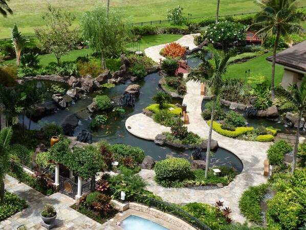 Property grounds