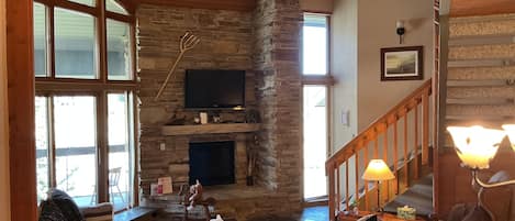 Televisión, chimenea, reproductor de DVD y libros