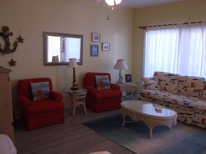 TV, DVD player, video library