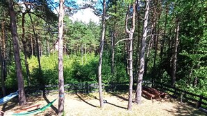 Ein Campingplatz mit Picknicktischen, einer Hängematte und einem Grillbereich.