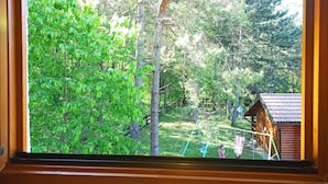 Blick durch ein Fenster auf eine Holzhütte, umgeben von dichtem Grün.