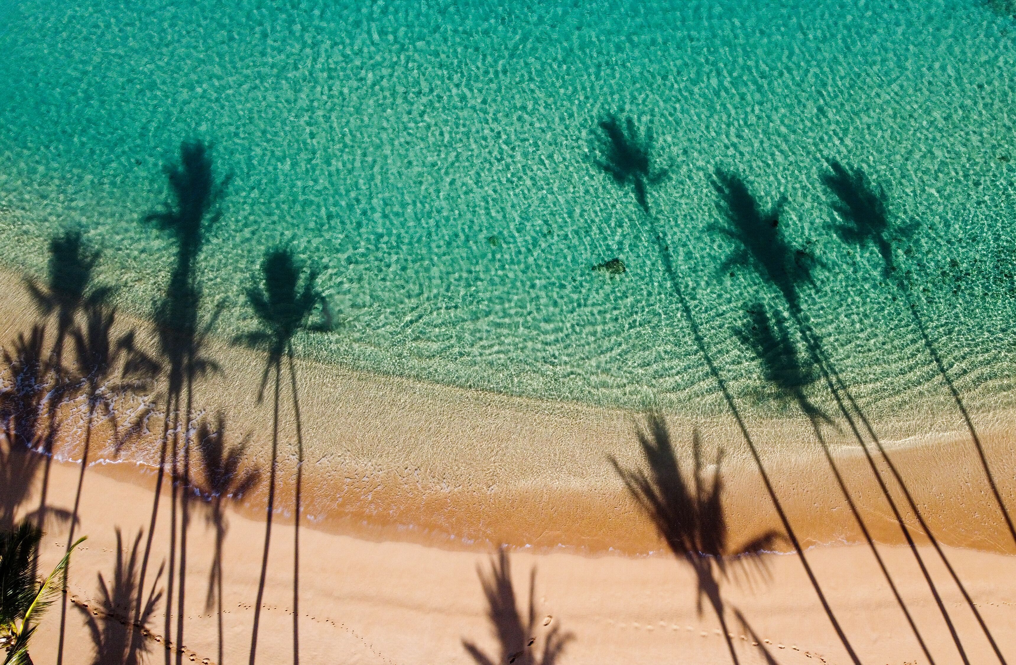 Plage à proximité, chaises longues, serviettes de plage
