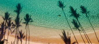 The #1 Vacation Rental on Maui!!  Steps to Maui's Best Beach! Pickle Ball Ct!