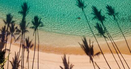 Voté le n ° 1 de la location de vacances à Maui !! Tout neuf! 30 étapes de la meilleure plage de Maui!