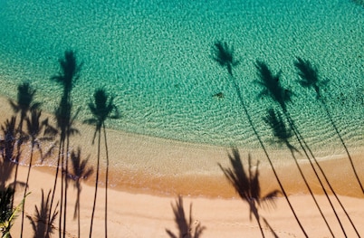 The #1 Vacation Rental on Maui!! Steps to Maui's Best Beach! Pickle Ball Ct!