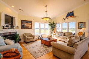 Televisión, chimenea, reproductor de DVD y libros 