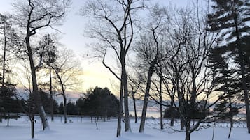 Winter landscape with snow-covered field and trees, surrounded by a wooden fence.