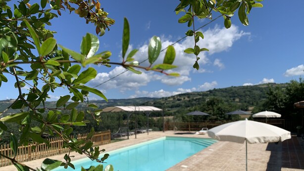 A swimming pool with a clear blue water, surrounded by lounge chairs and umbrellas, set against a backdrop of hills and a wooden fence. - Agriturismo la Palazzetta di Assisi (Assisi)