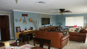 TV, DVD player, ping pong, video library