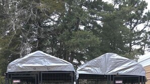 Two black metal dog kennels with a covered roof, each with a metal grate door and a circular ventilation opening. - Sportsman's Paradise (Stockton)
