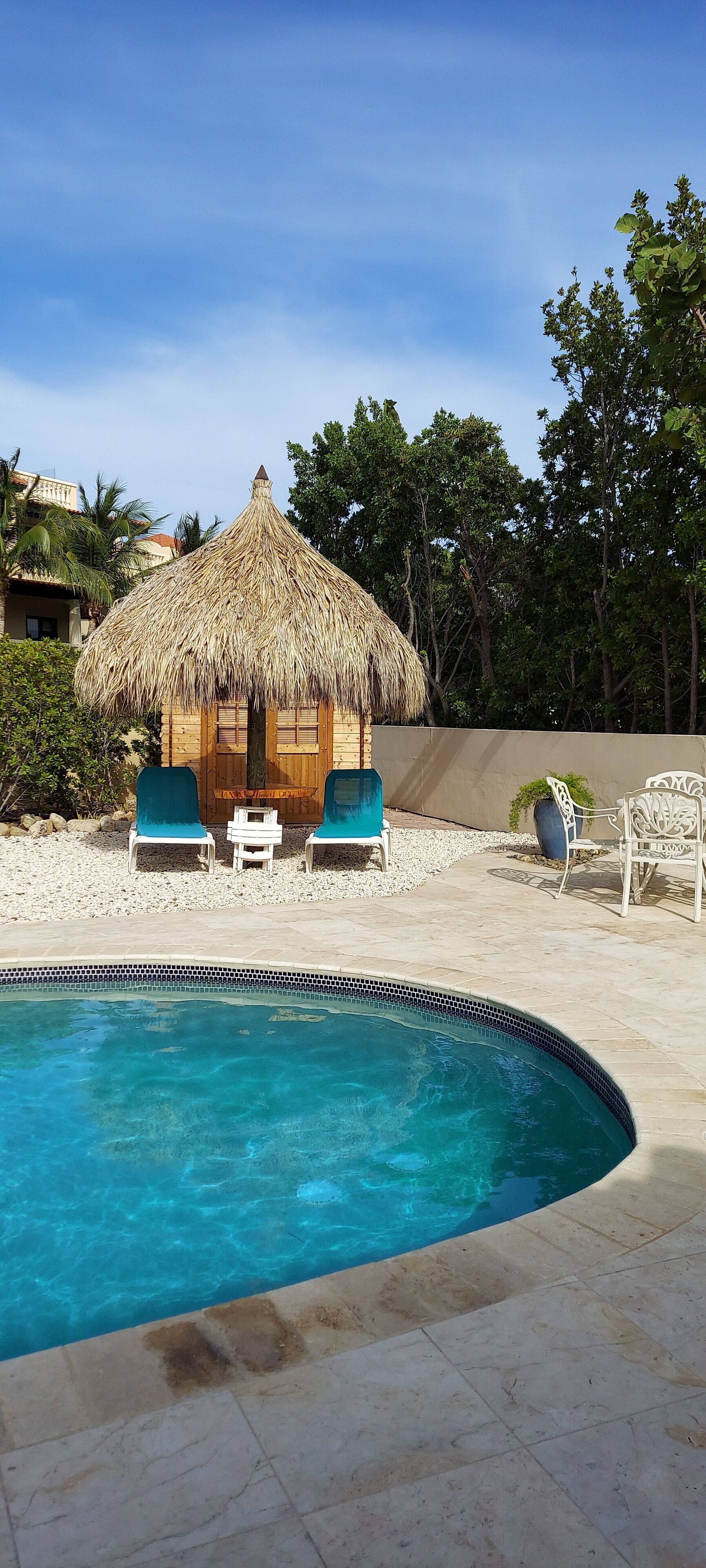 A pool area with a thatched-roof hut, lounge chairs, and a tiled deck.