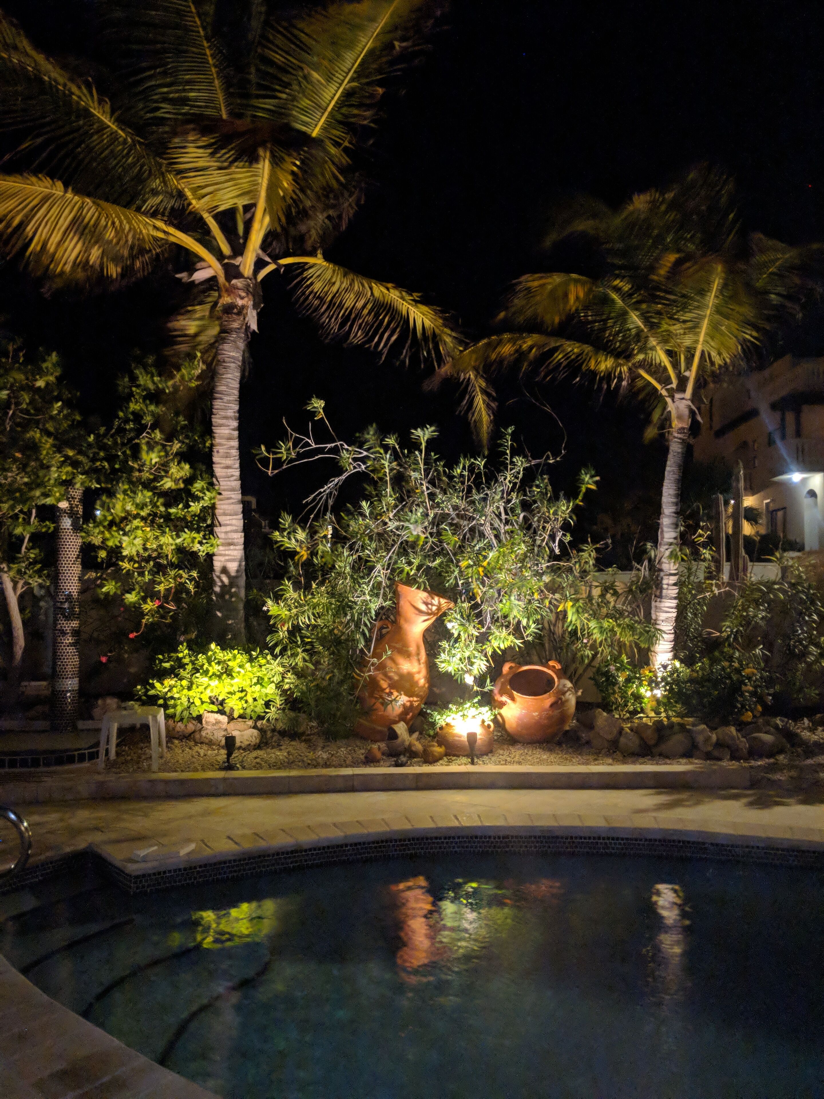 Un espace piscine aménagé pour la nuit, avec des palmiers, un petit jardin agrémenté de plantes et de pots de fleurs, et un bord de piscine recouvert de carreaux.