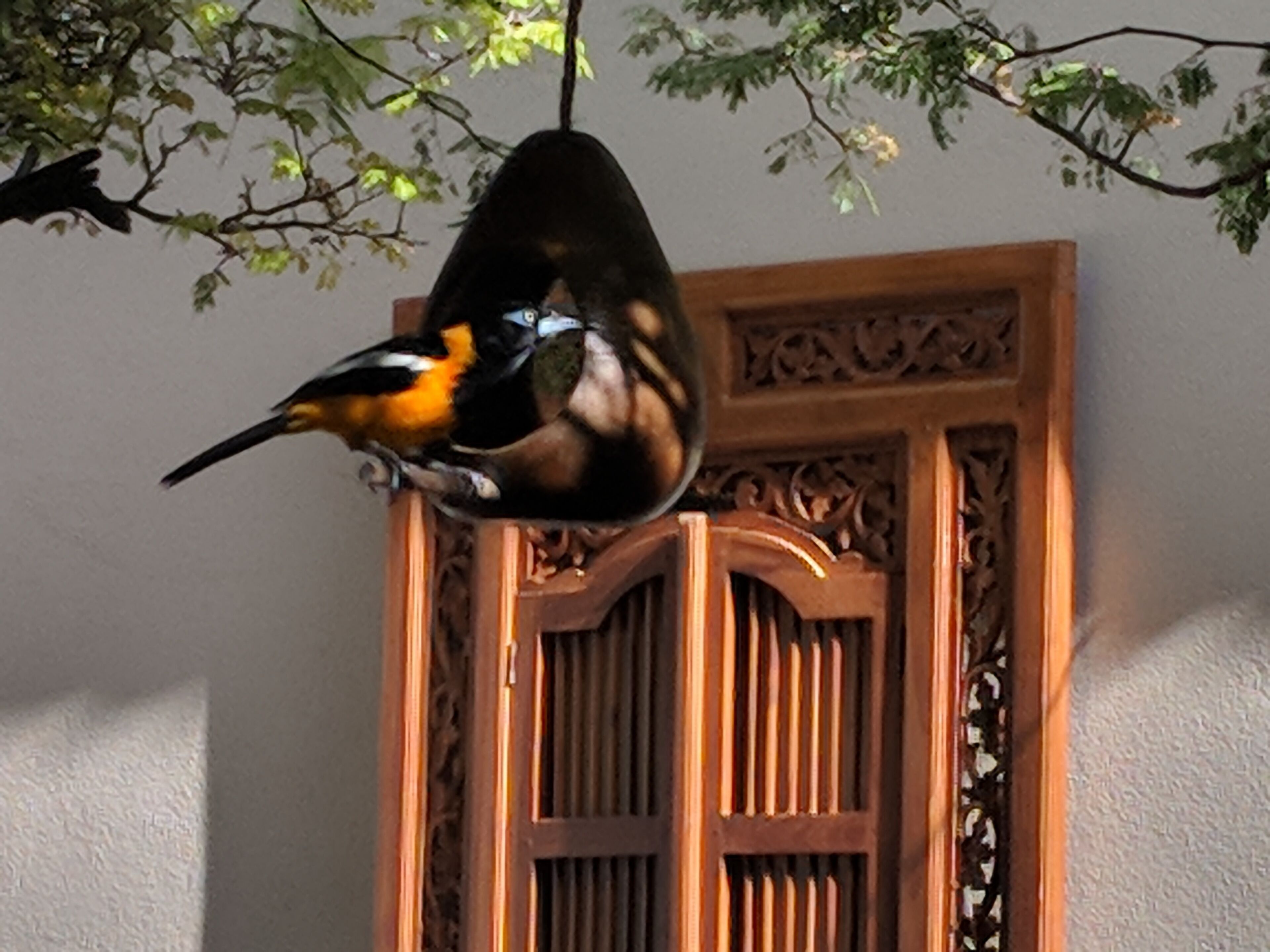 Een vogelhuisje met twee vogels erop, voor een houten deur met gedetailleerde houtsnijwerken.