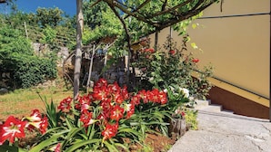 A garden with red flowers and a stone wall.