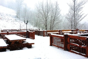 A snow-covered outdoor seating area with wooden benches and tables, surrounded by bare trees. - 8 BR Mountaintop Lodge with views - Sleeps 22 (Dobson)