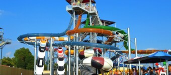 ご予約を！ Shelton Vineyardで無料のワインテイスティング/ツアーを受け取る